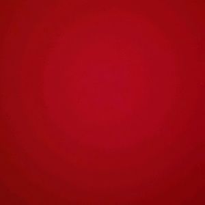 Meet your Posher, Elvin